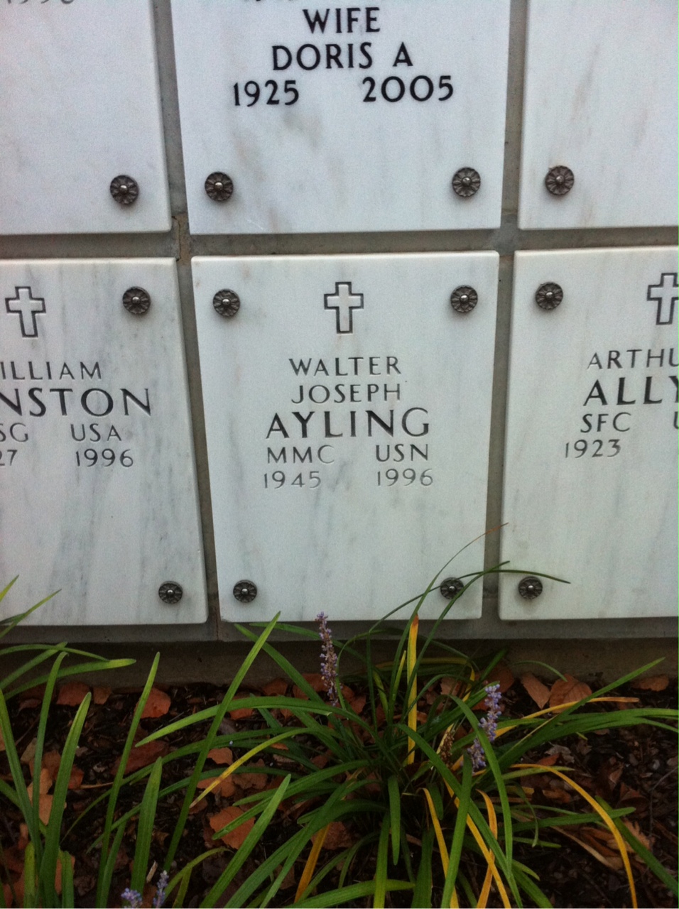 Walter Ayling