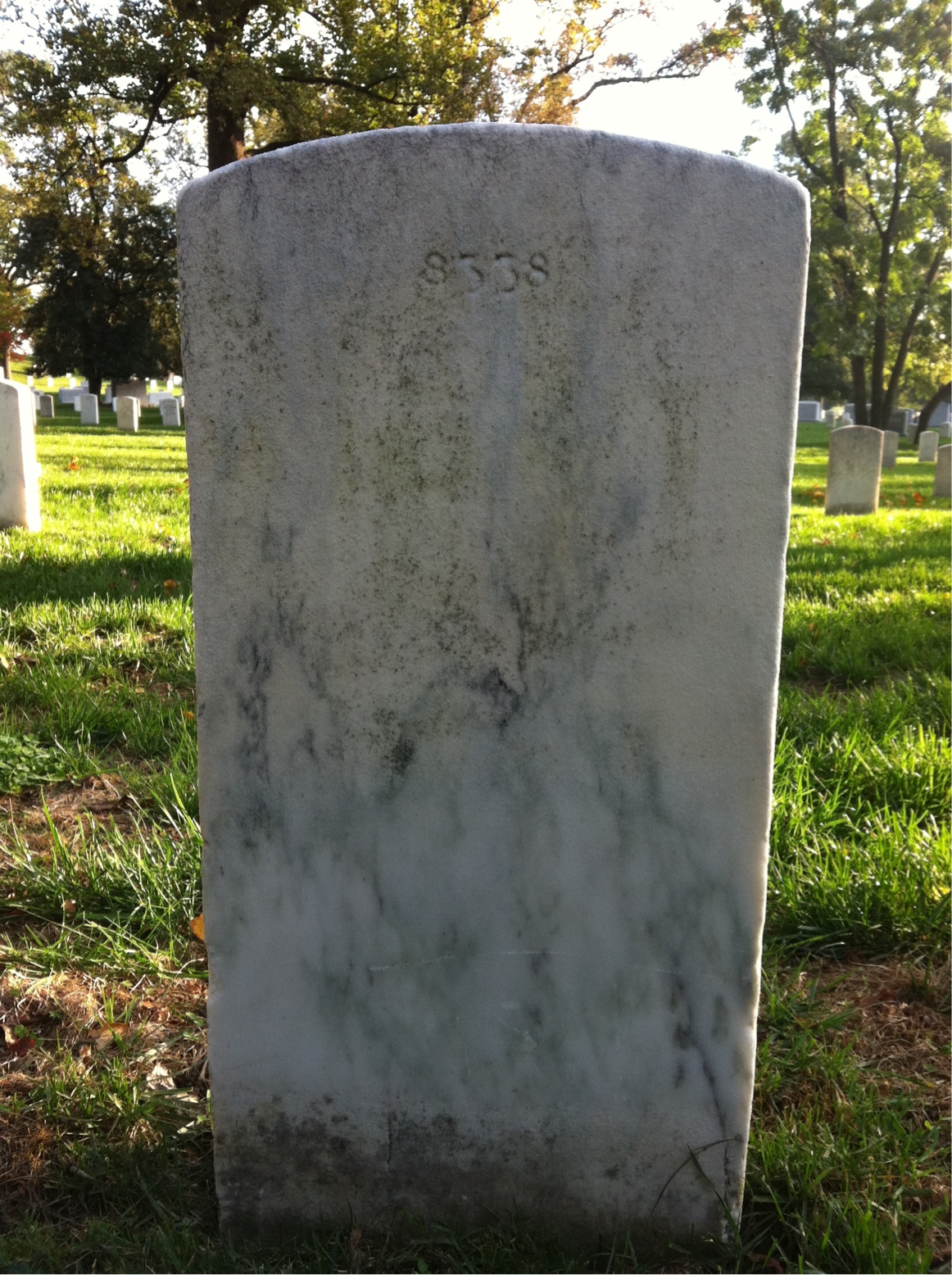 Back of headstone — Albert Alexander