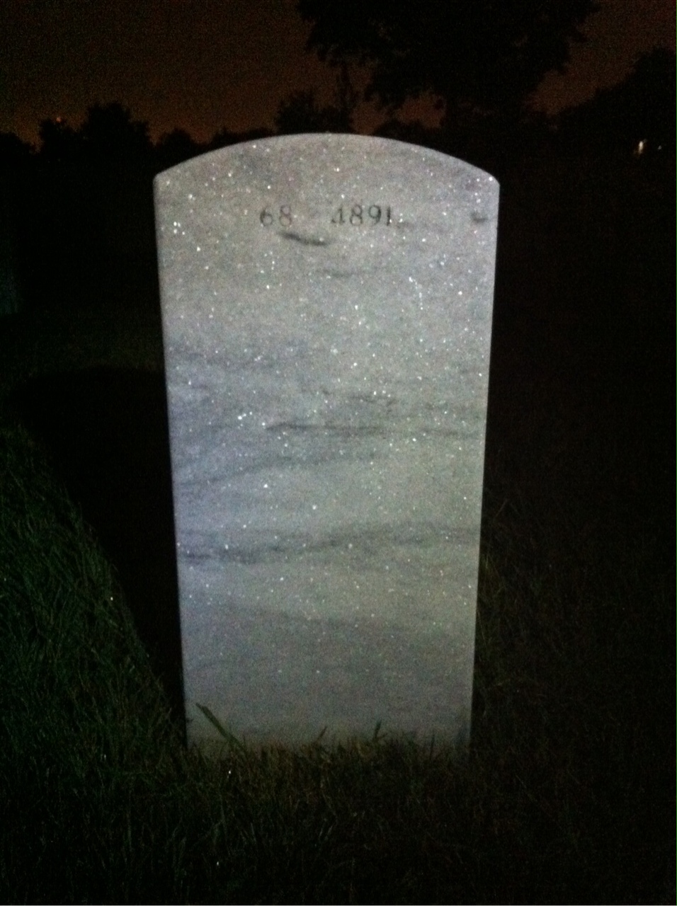 Back of headstone — David Goodman