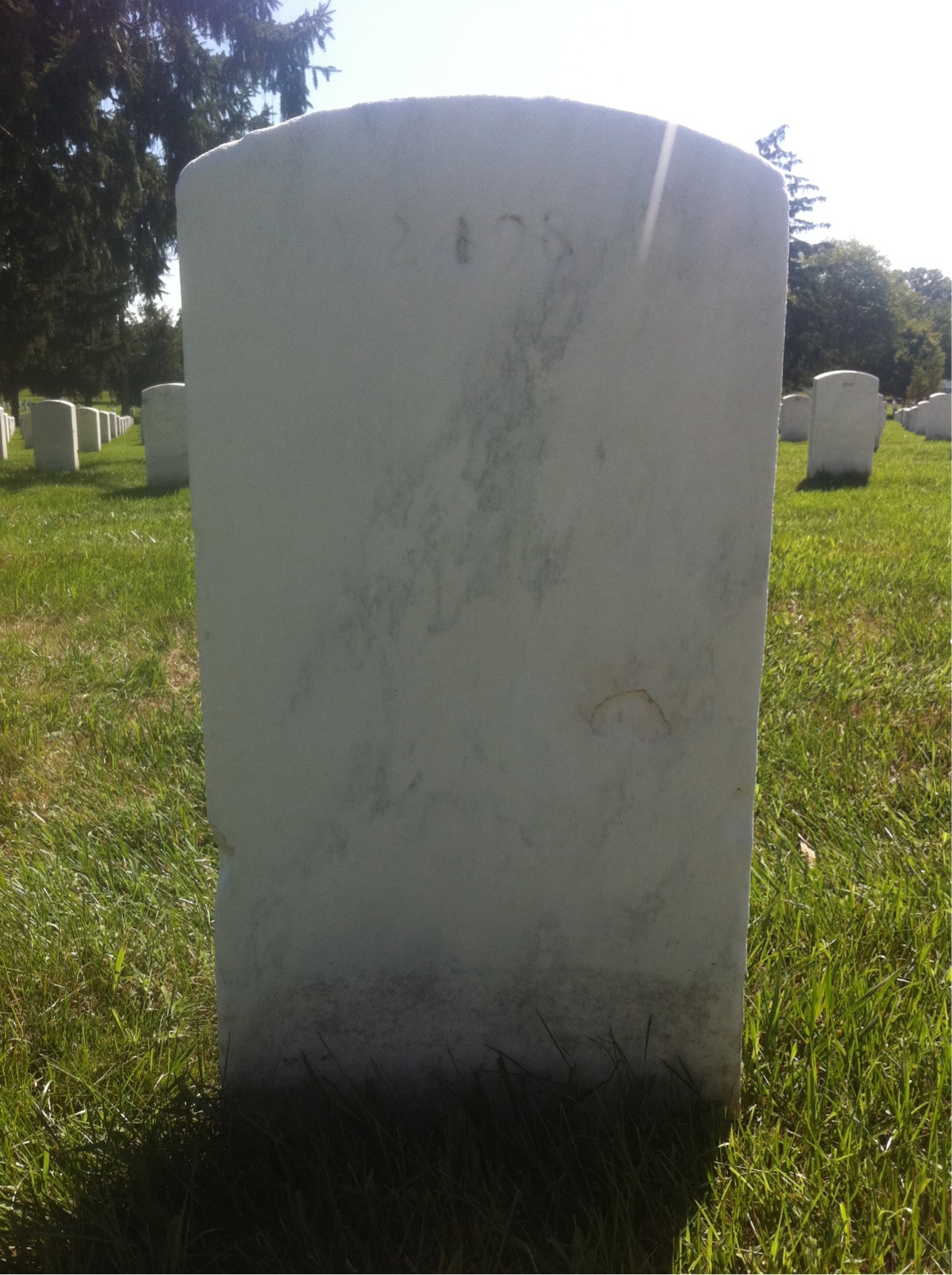 Back of headstone — Alvey Mollohan