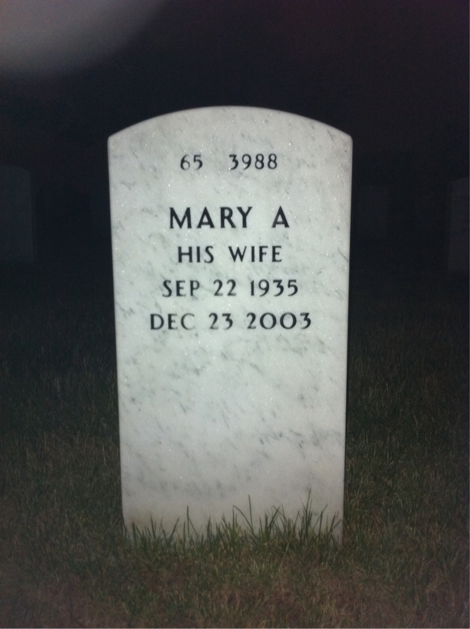 Back of headstone — William Macewen