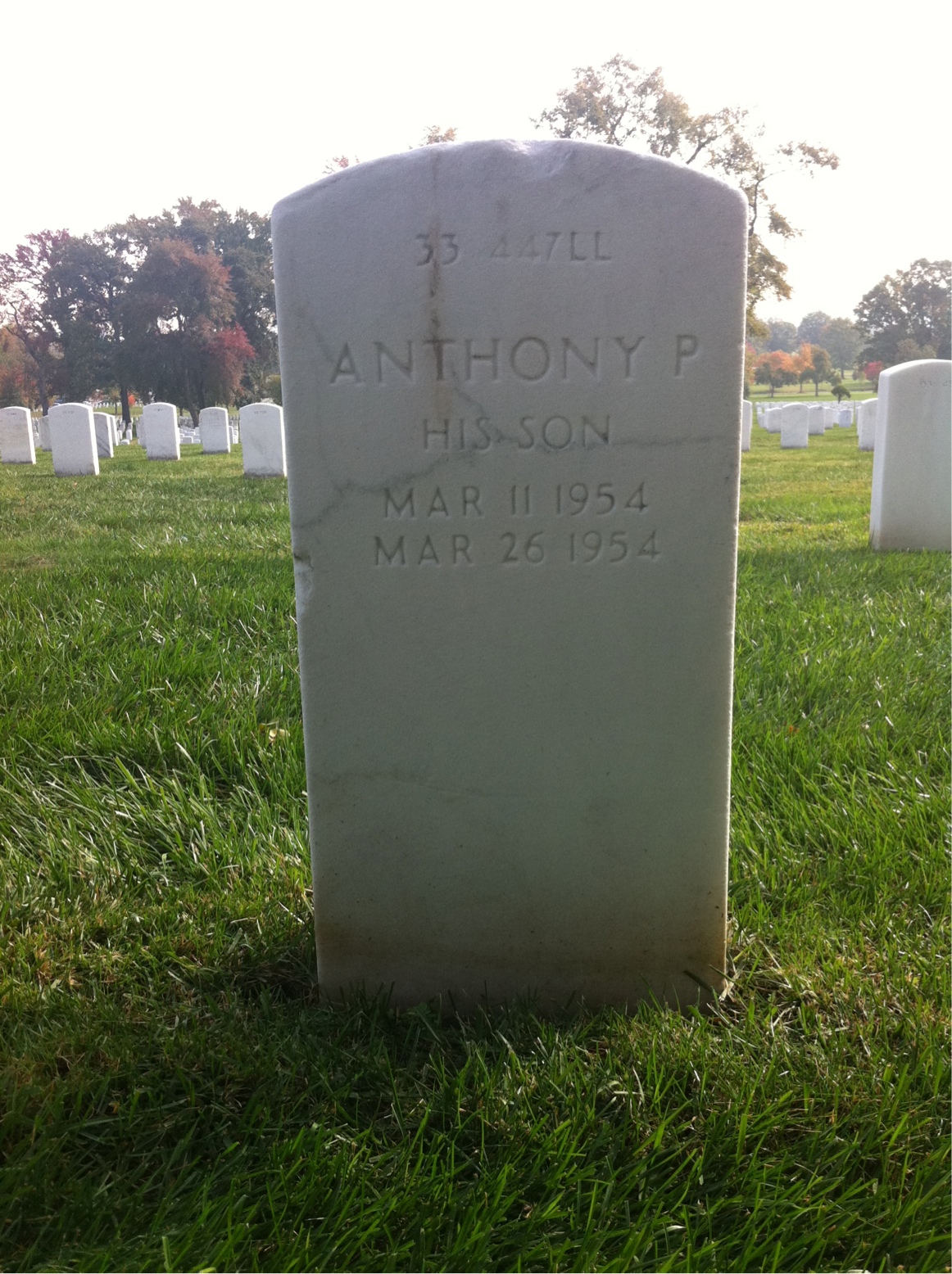 Back of headstone — Anthony Botts