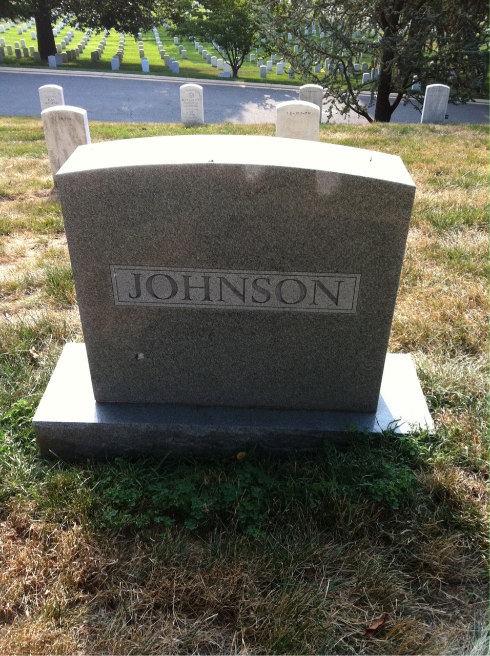 Back of headstone — Lewis Johnson