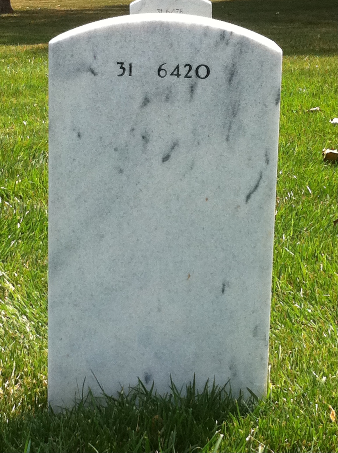 Back of headstone — Levi Rayfield