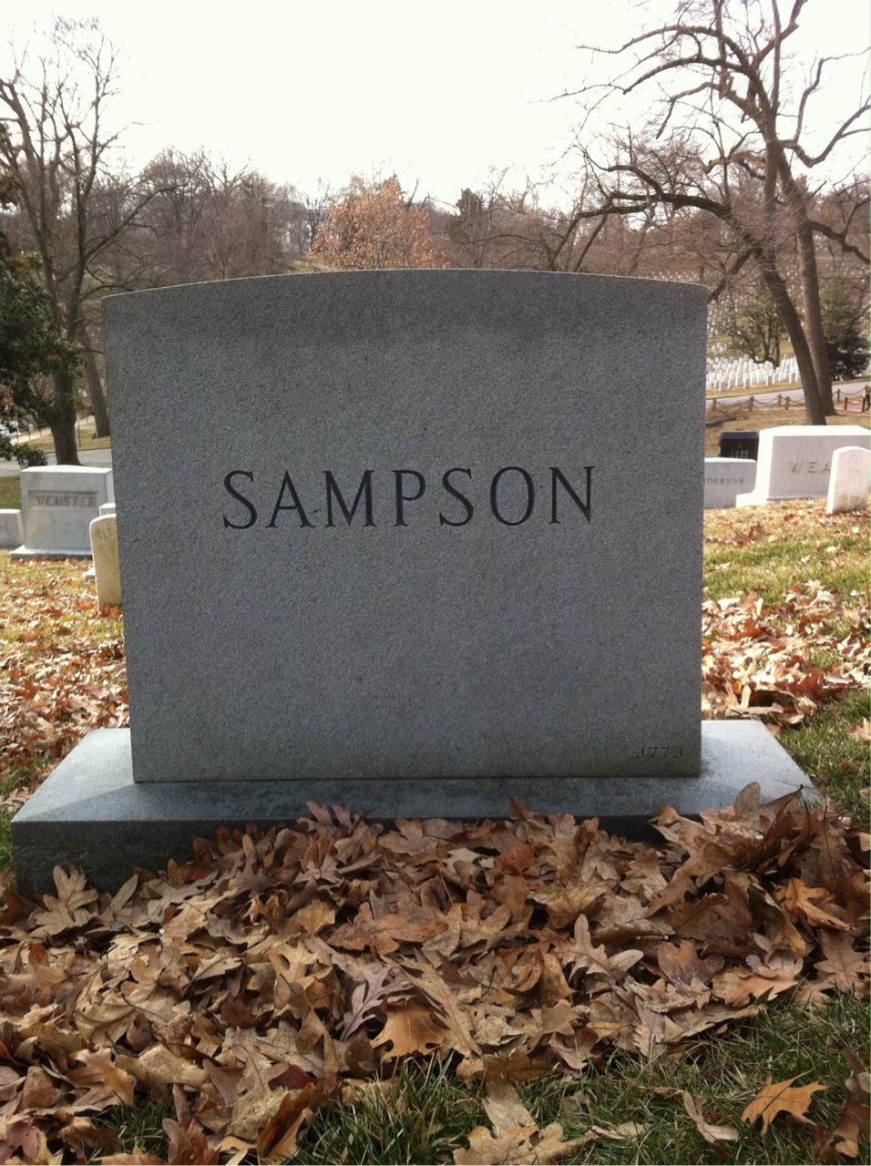Back of headstone — Wade Sampson