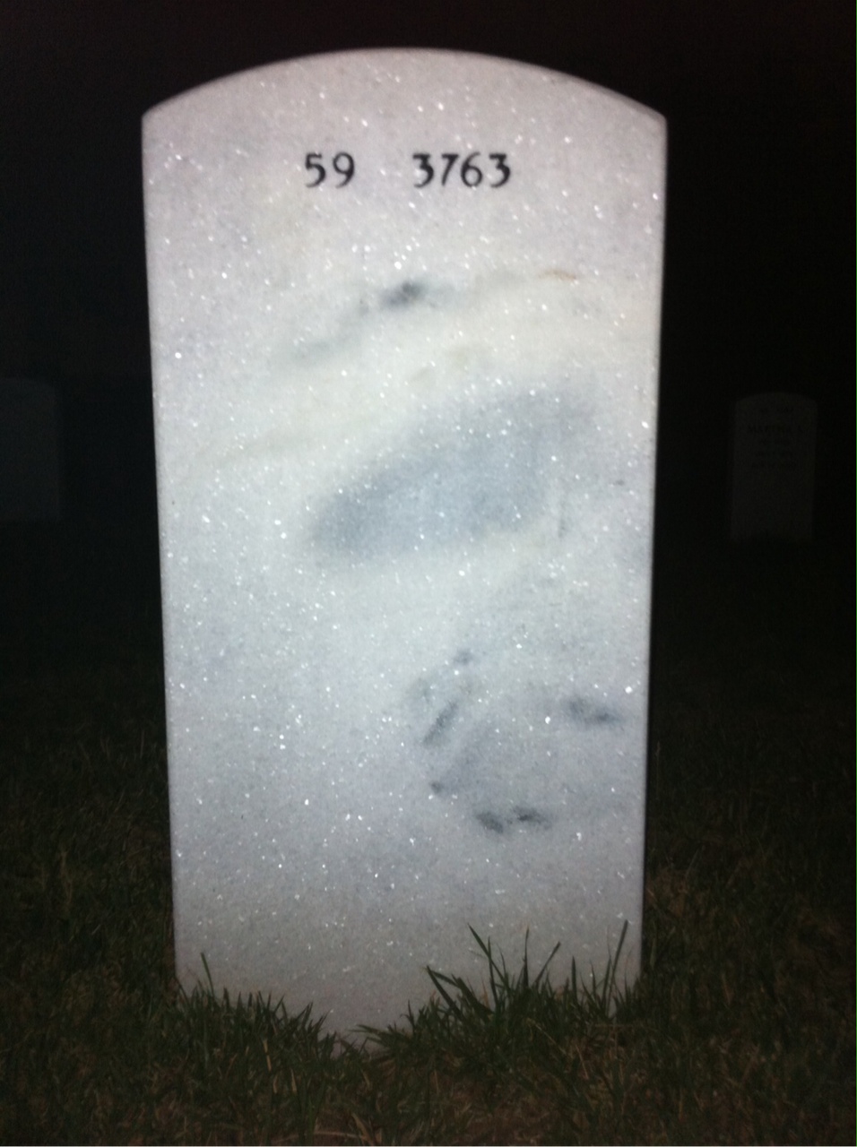 Back of headstone — William Walker