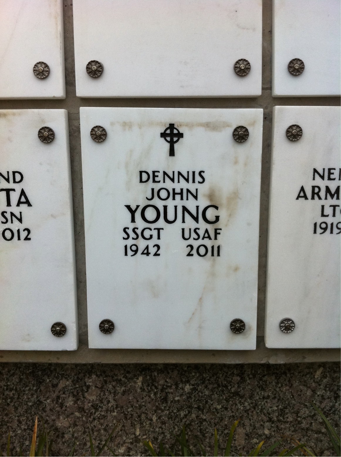 Dennis F Young