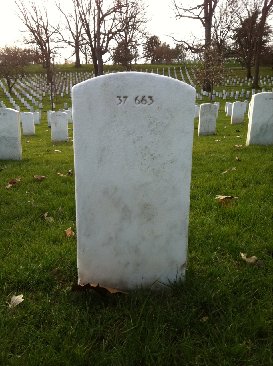 Back of headstone — Earle Anderson
