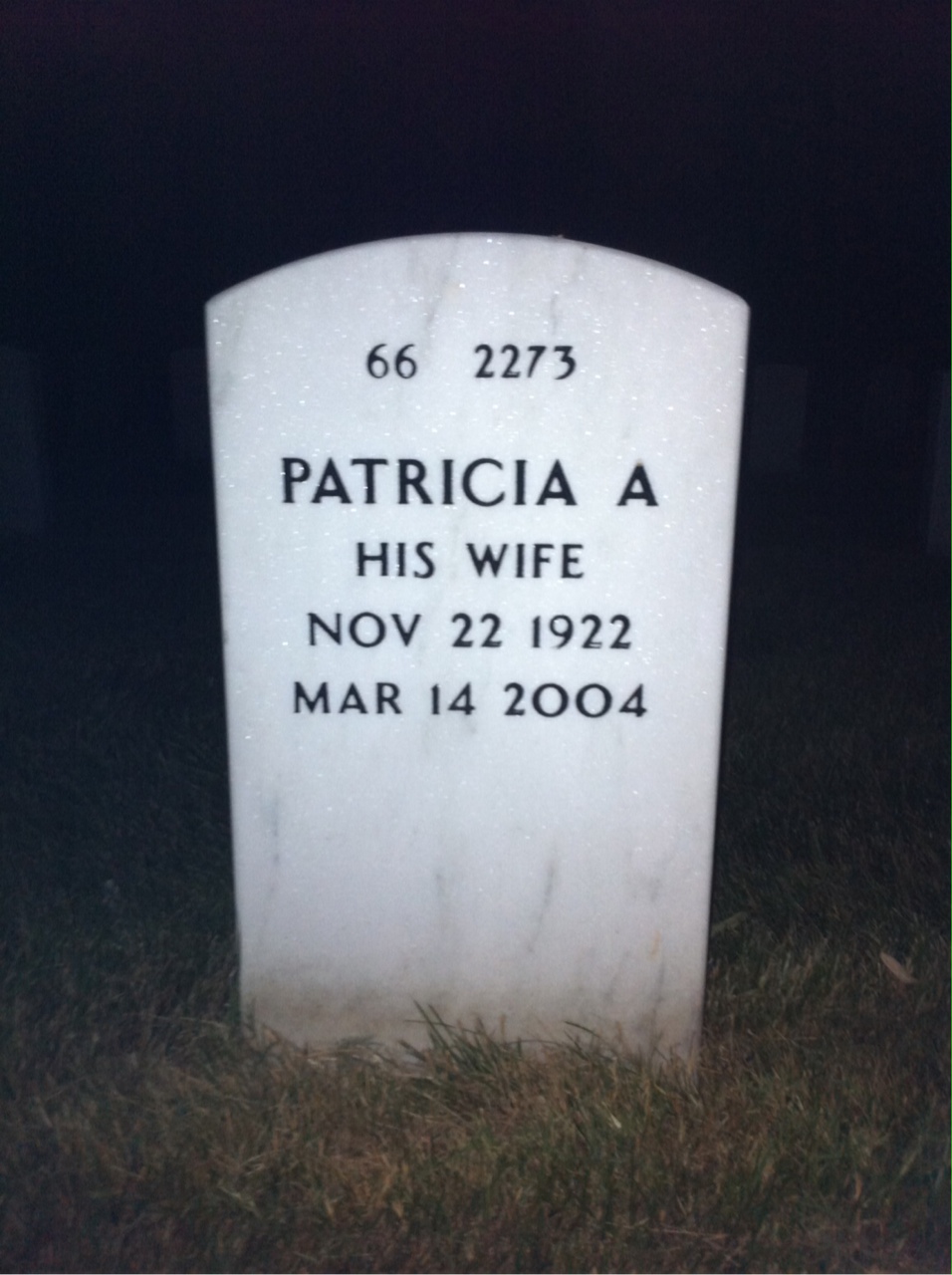 Back of headstone — Chester Doty