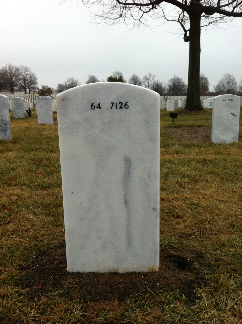 Back of headstone — Theodore Mercer Brostrom