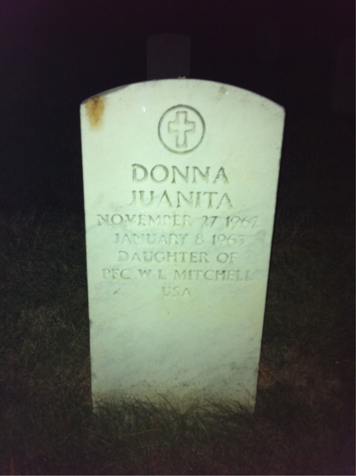 Donna Mitchell