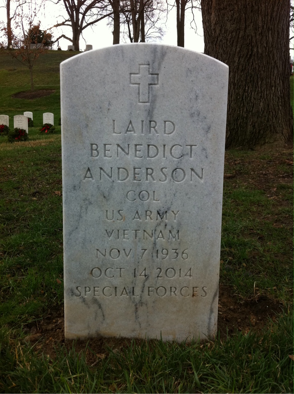 Laird Anderson