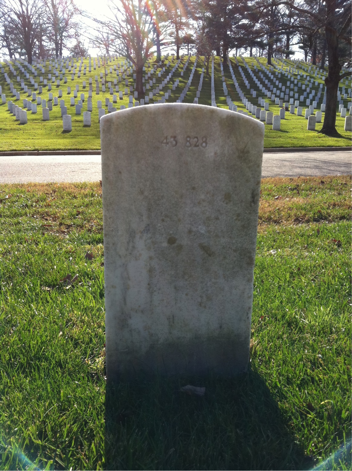Back of headstone — Wallace Miller