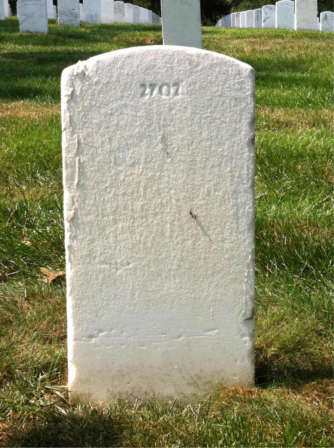 Back of headstone — Wilson Miller