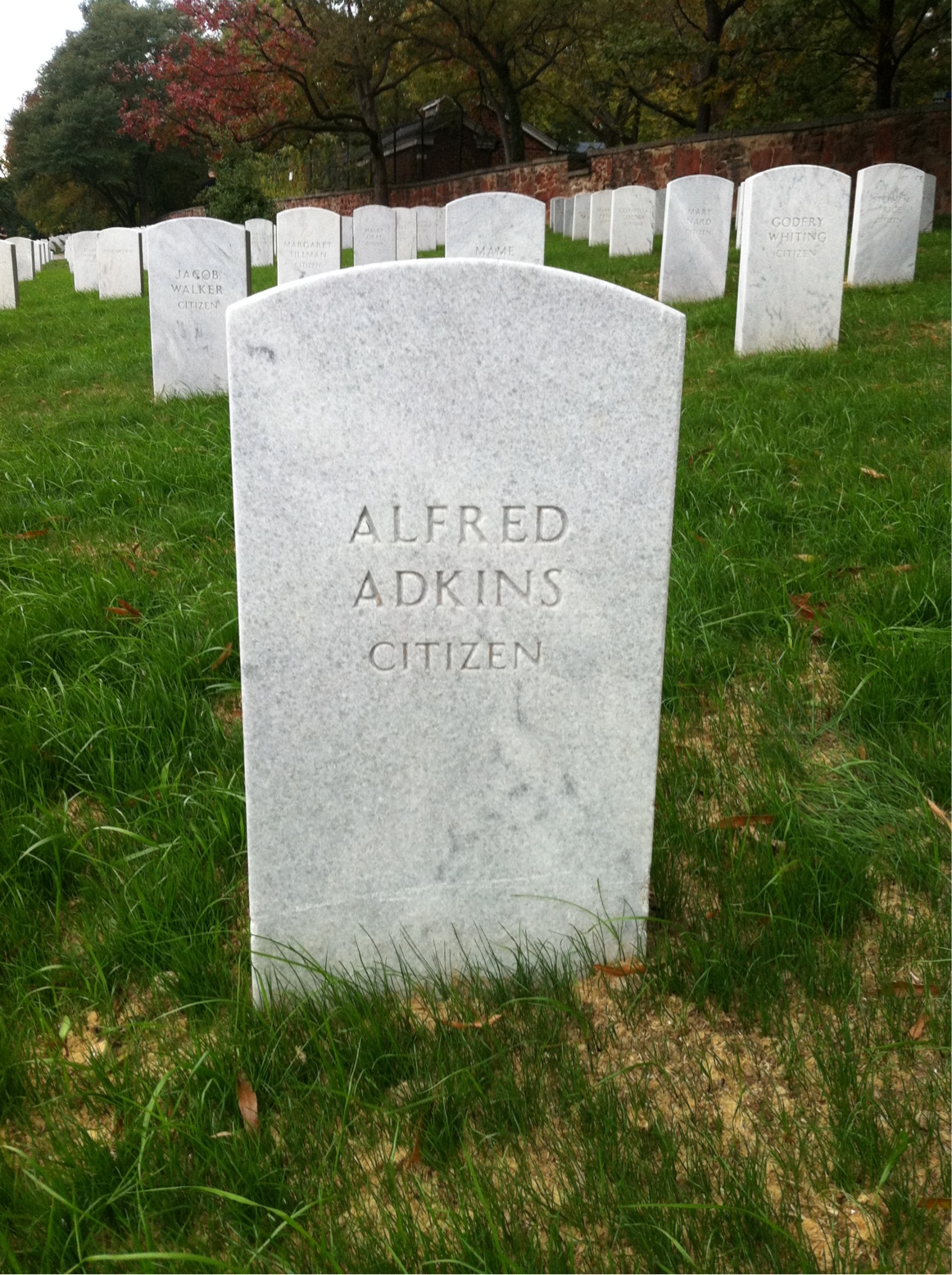 Alfred Adkins