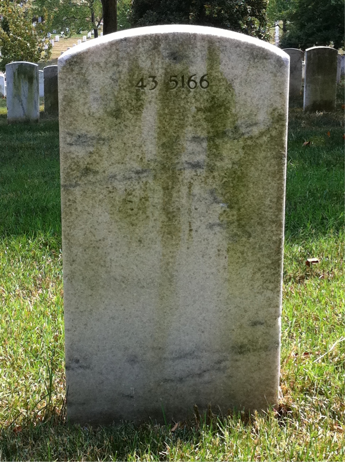 Back of headstone — Anthony Morales