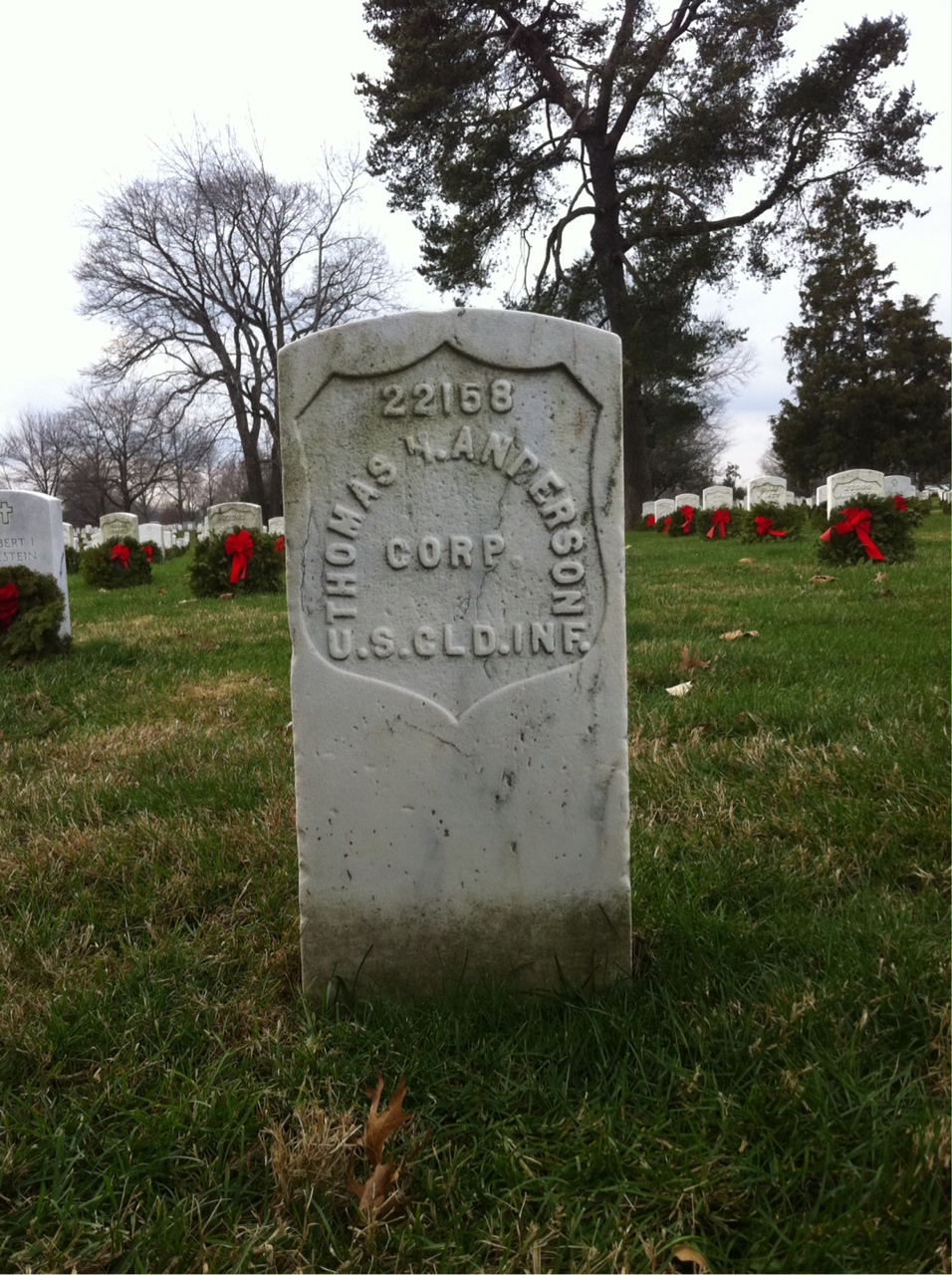 May Anderson