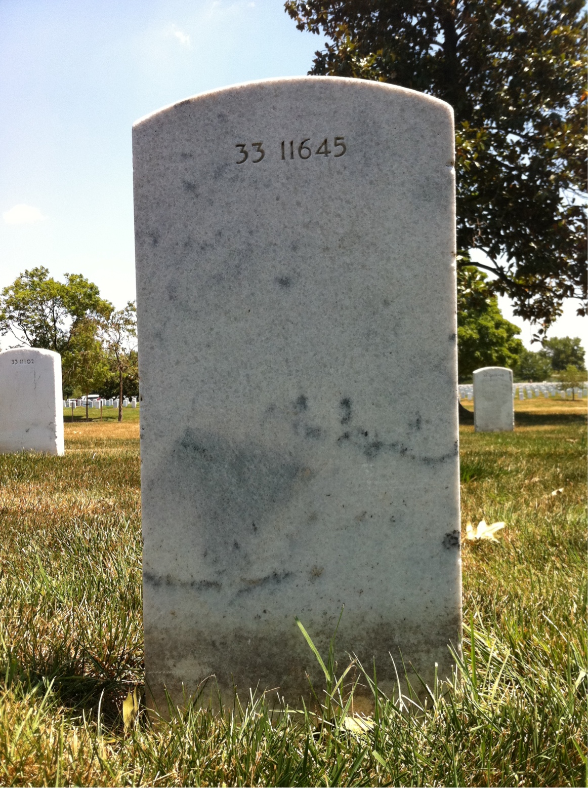Back of headstone — Adele Mulvey