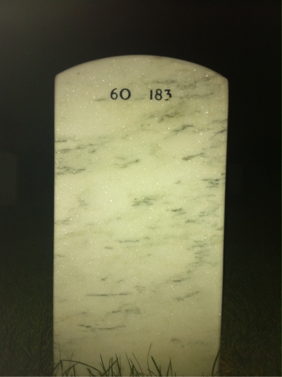 Back of headstone — Ray Sareeram