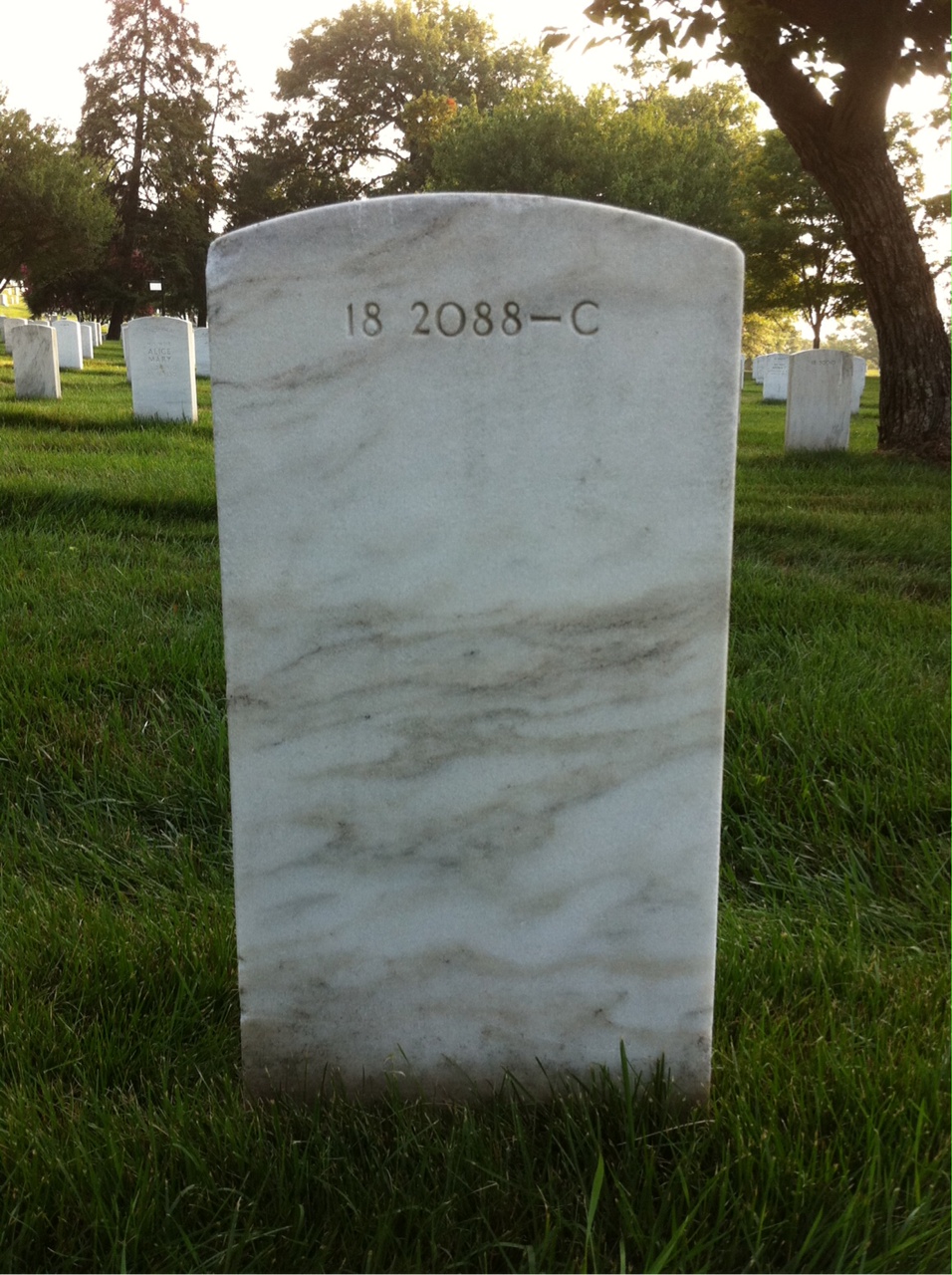Back of headstone — Forest Montgomery