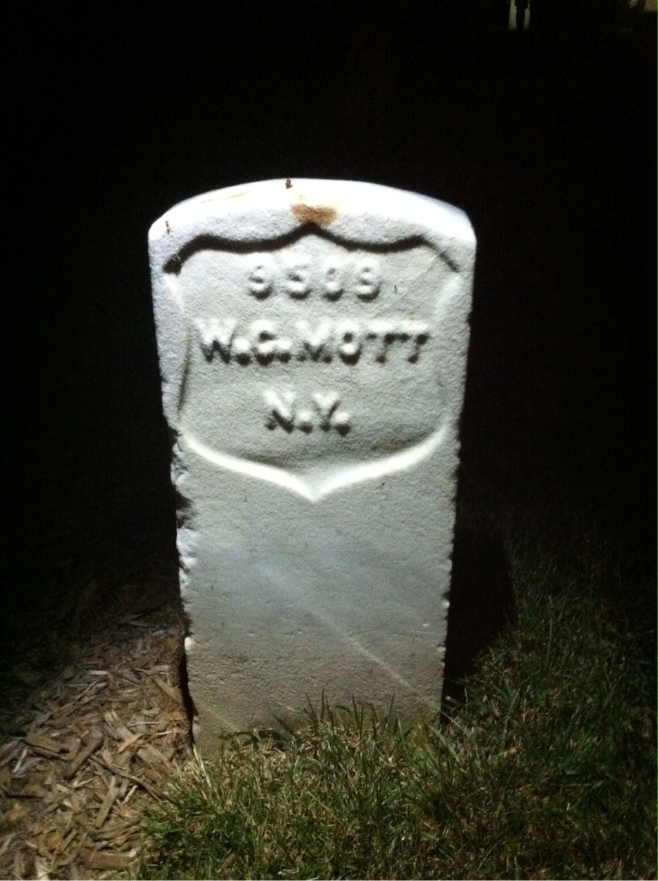William Mott