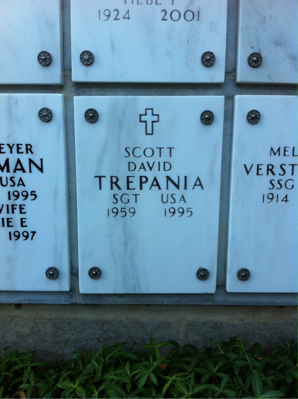 Scott David Trepania