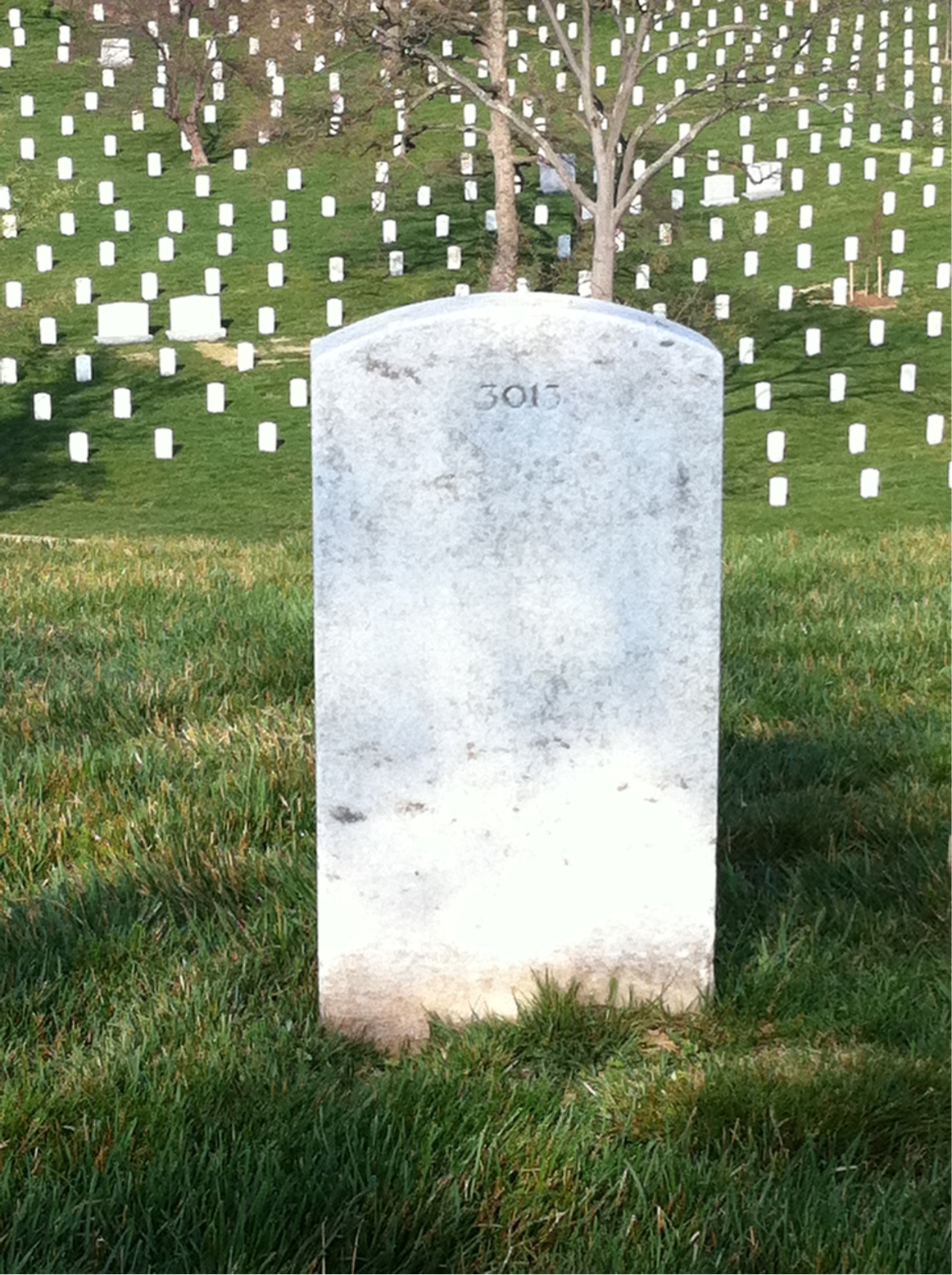 Back of headstone — Alice Moynan
