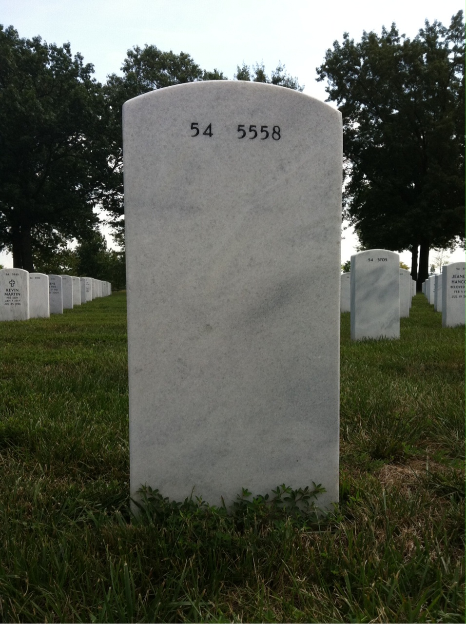 Back of headstone — Victor Albrecht