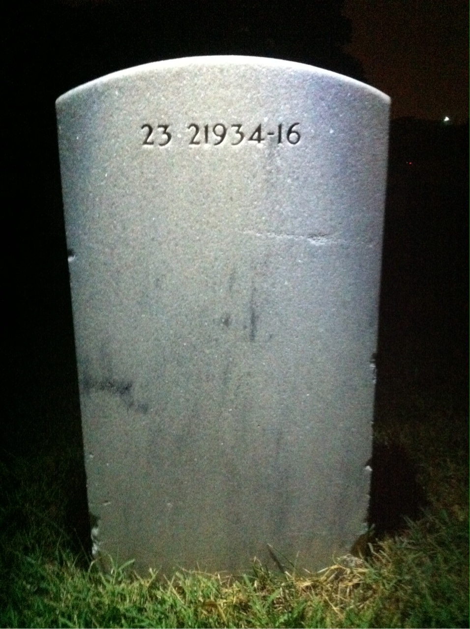 Back of headstone — Millard Alex