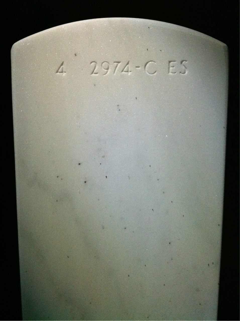Back of headstone — Frank Buckley
