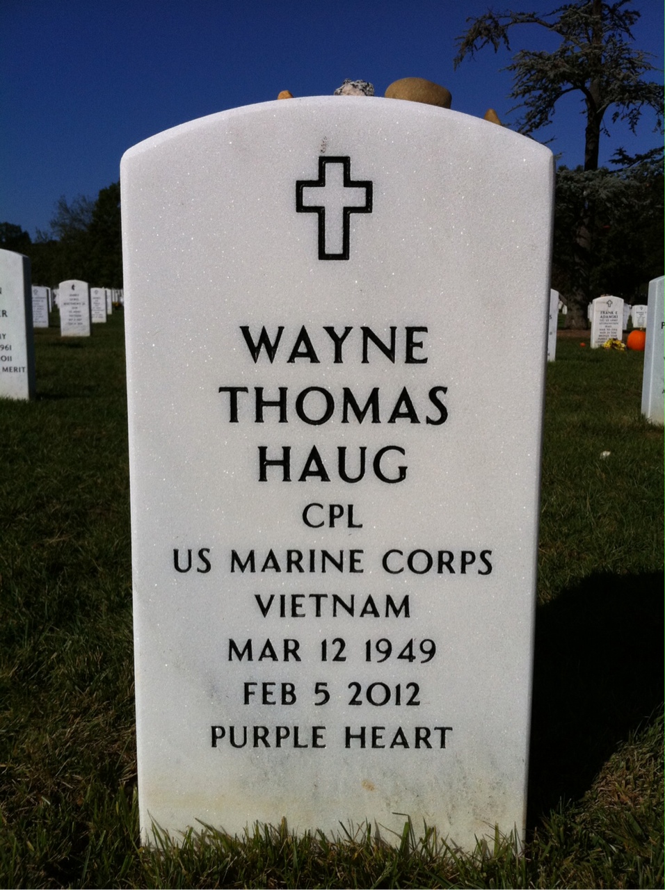 Wayne T Haug