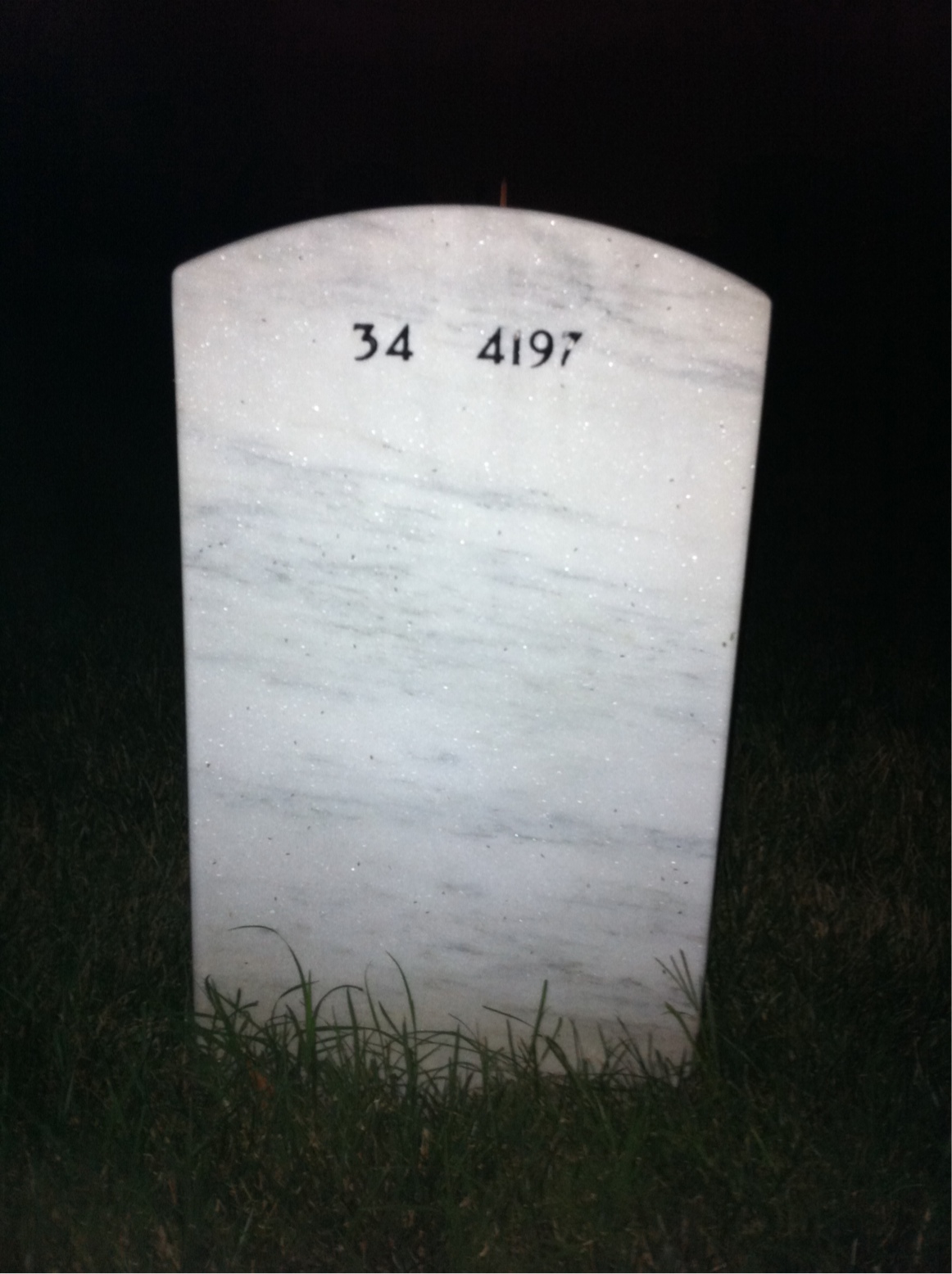 Back of headstone — William F Traxler