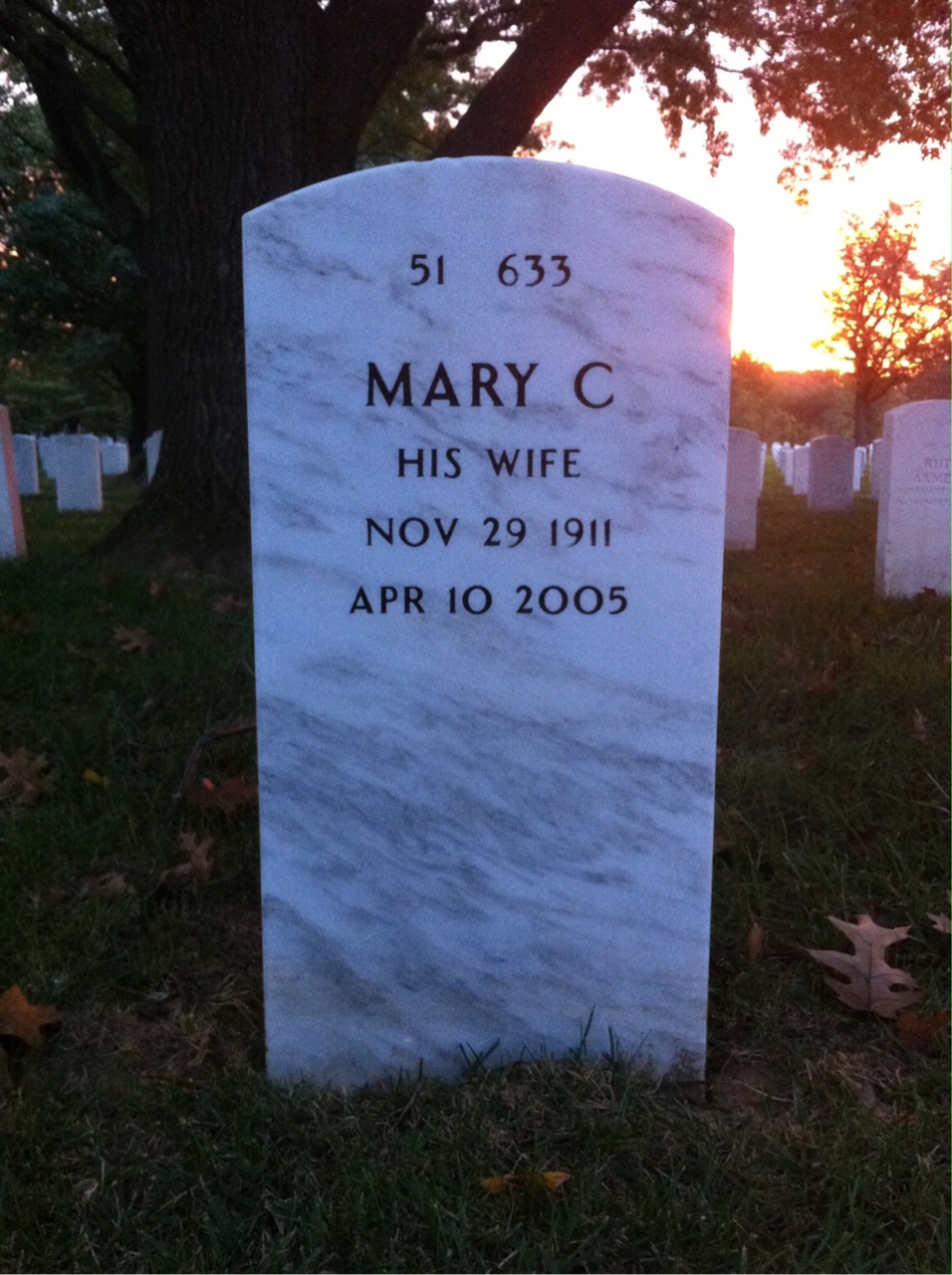 Back of headstone — Albert Orr