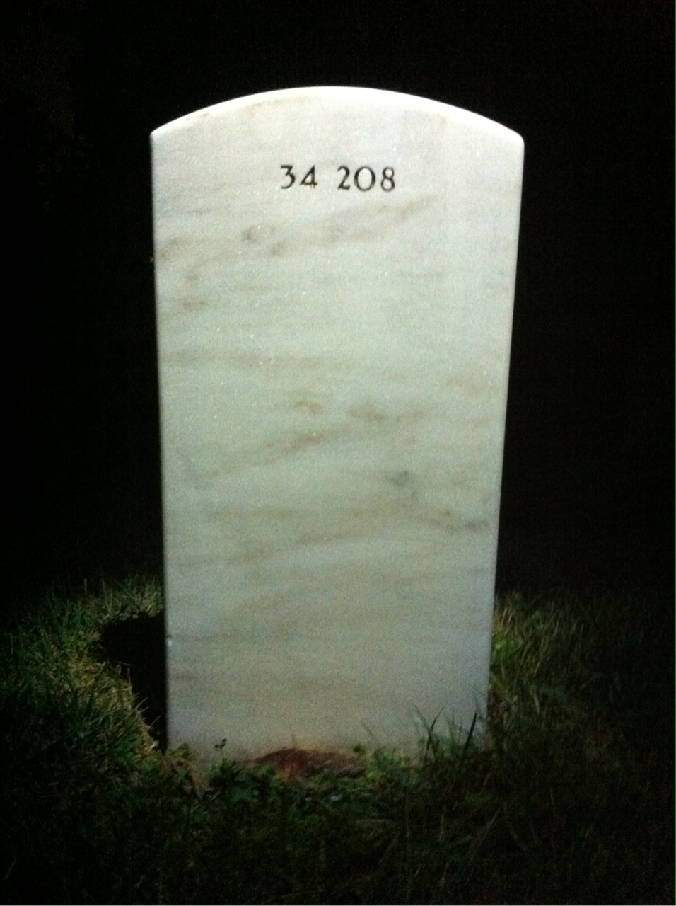 Headstone of William L Mcgonagle