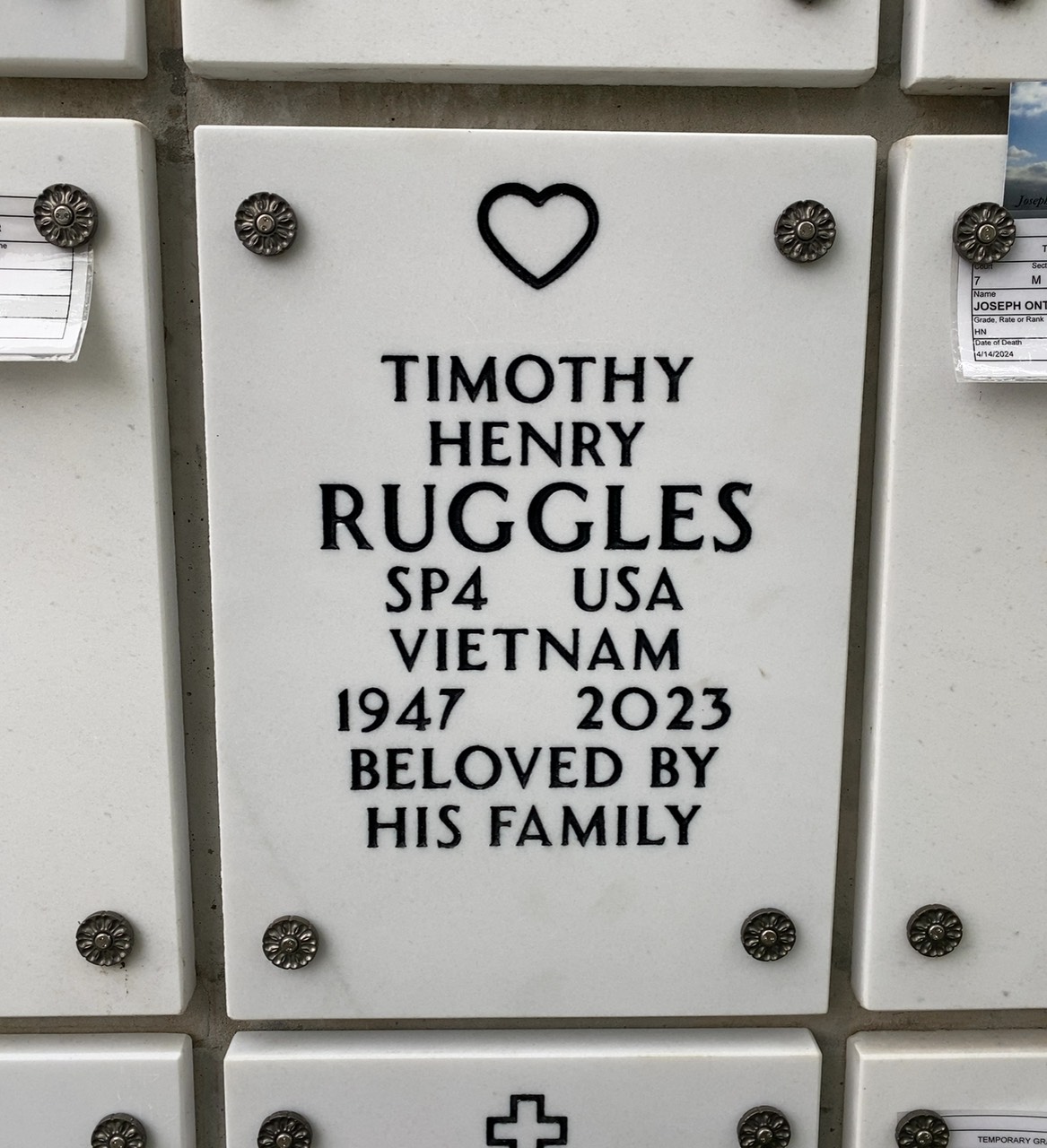 Timothy H Ruggles