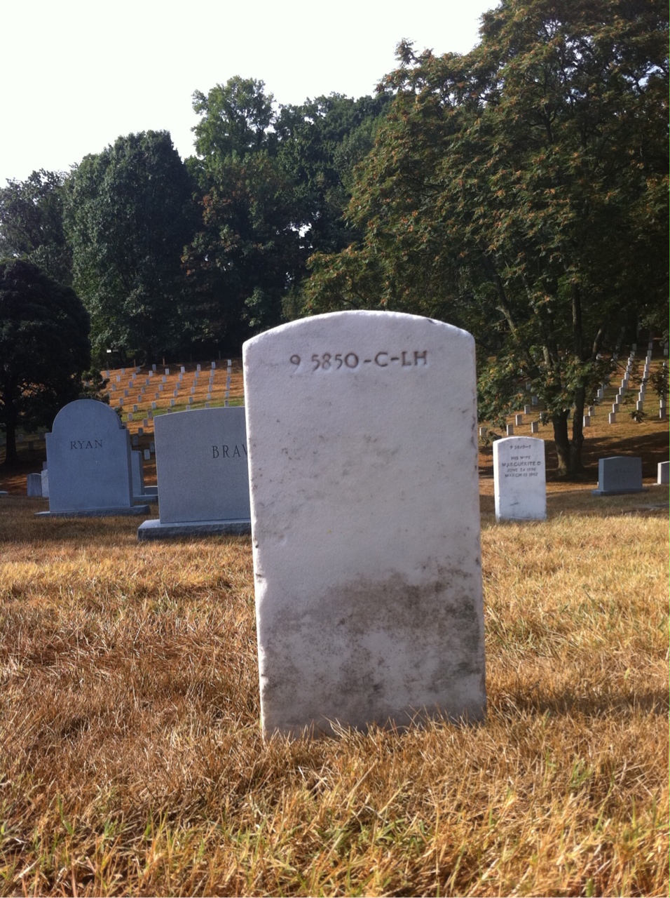 Back of headstone — William Mcnamee