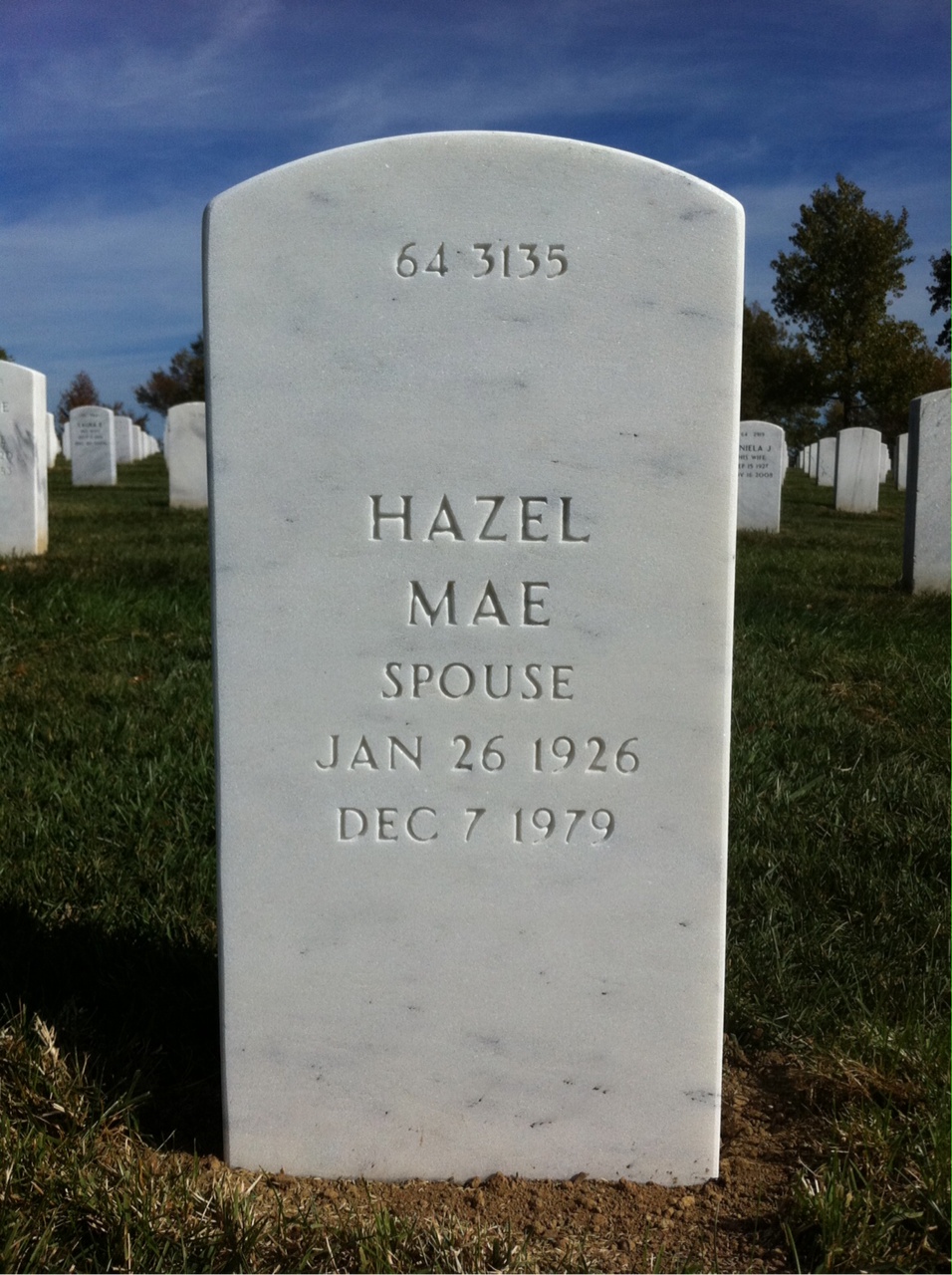 Back of headstone — Anthony J Vigliotti