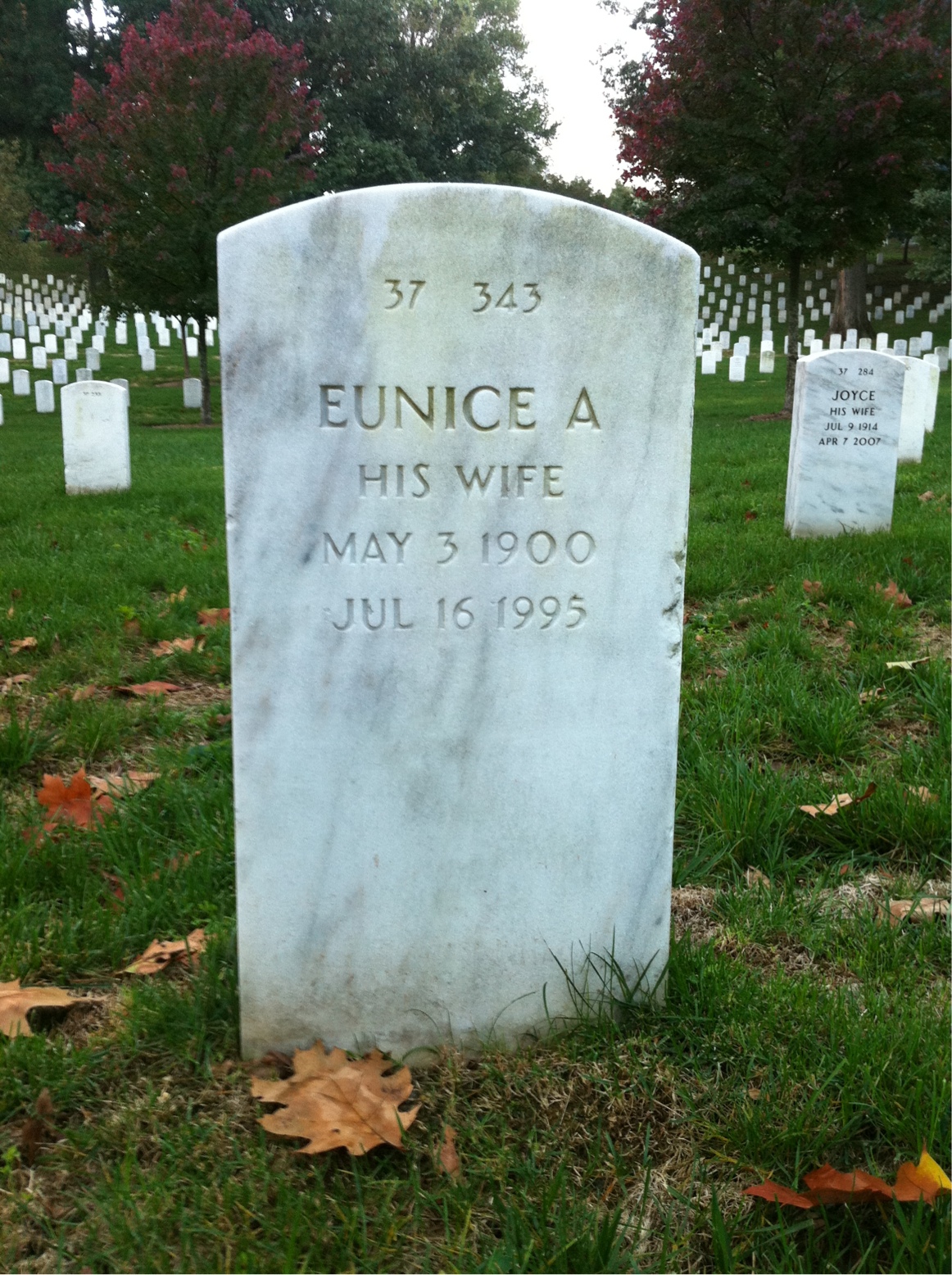 Back of headstone — Samuel Stark Fried