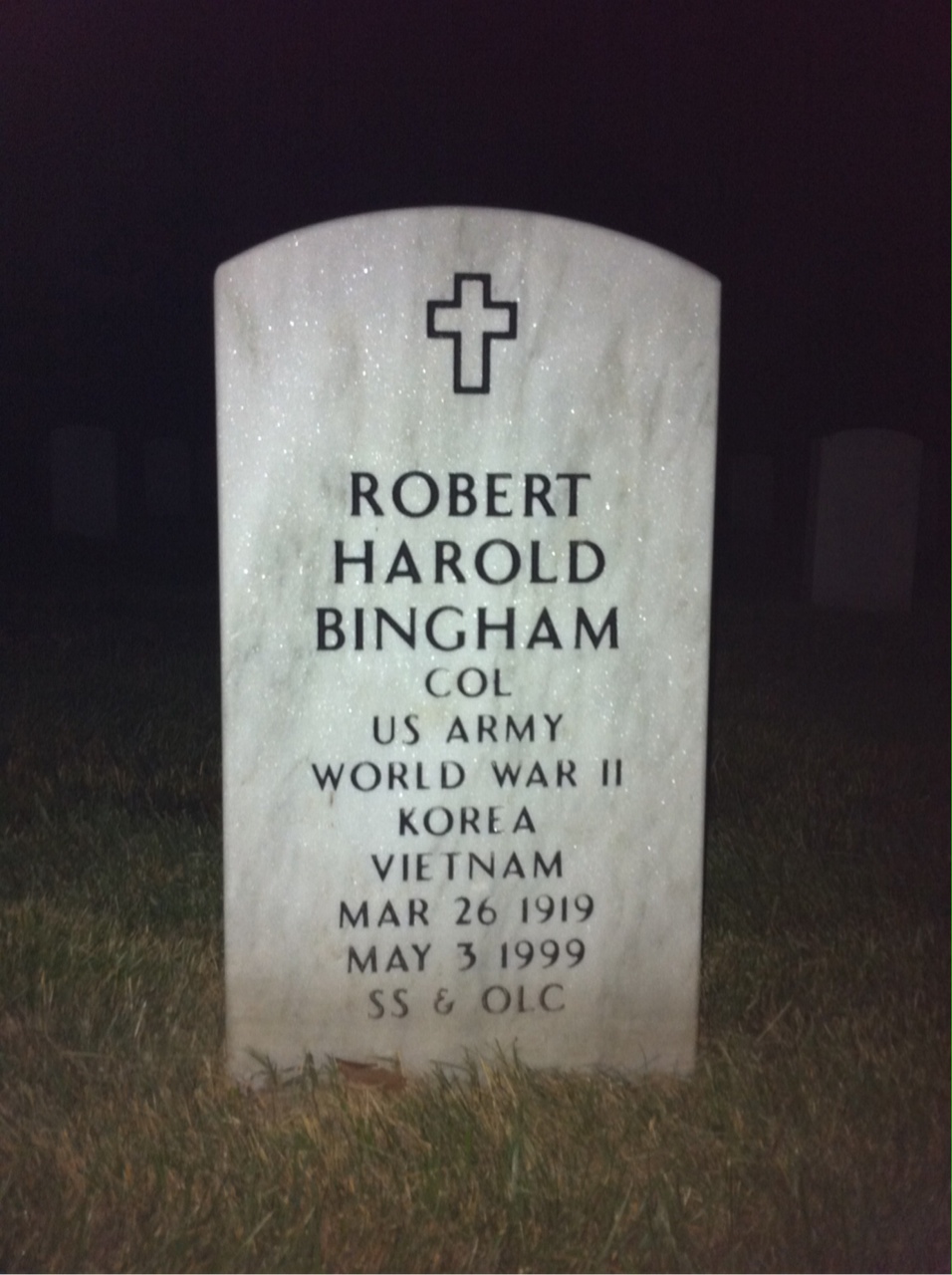 Robert Bingham