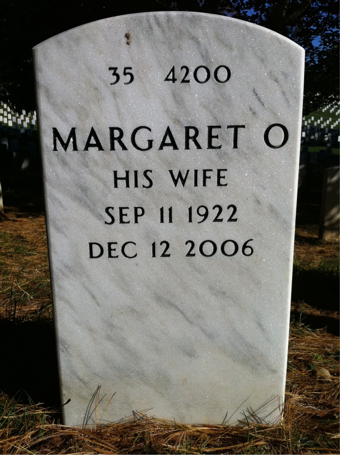 Back of headstone — Louis Sert
