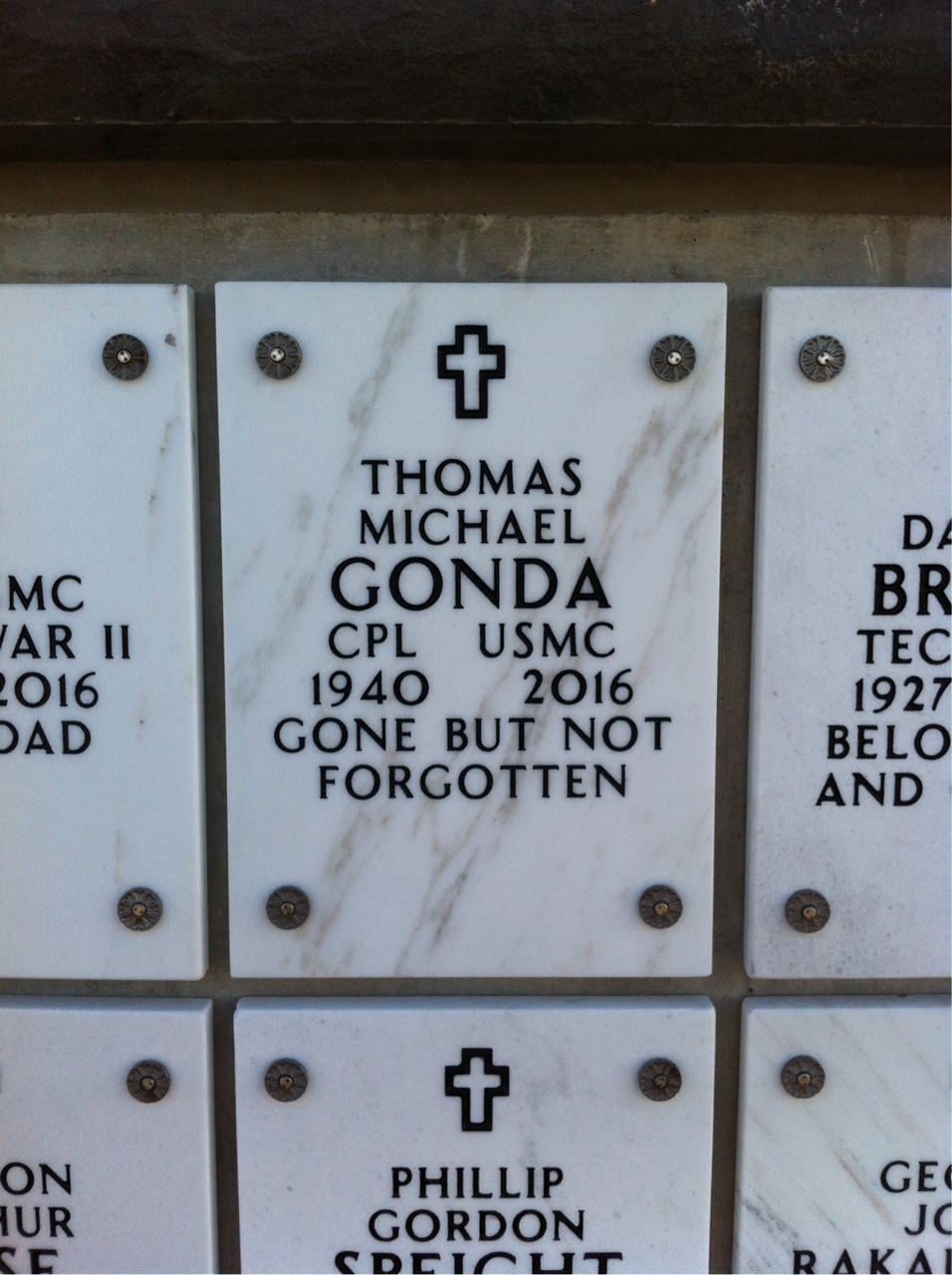 Thomas M Gonda