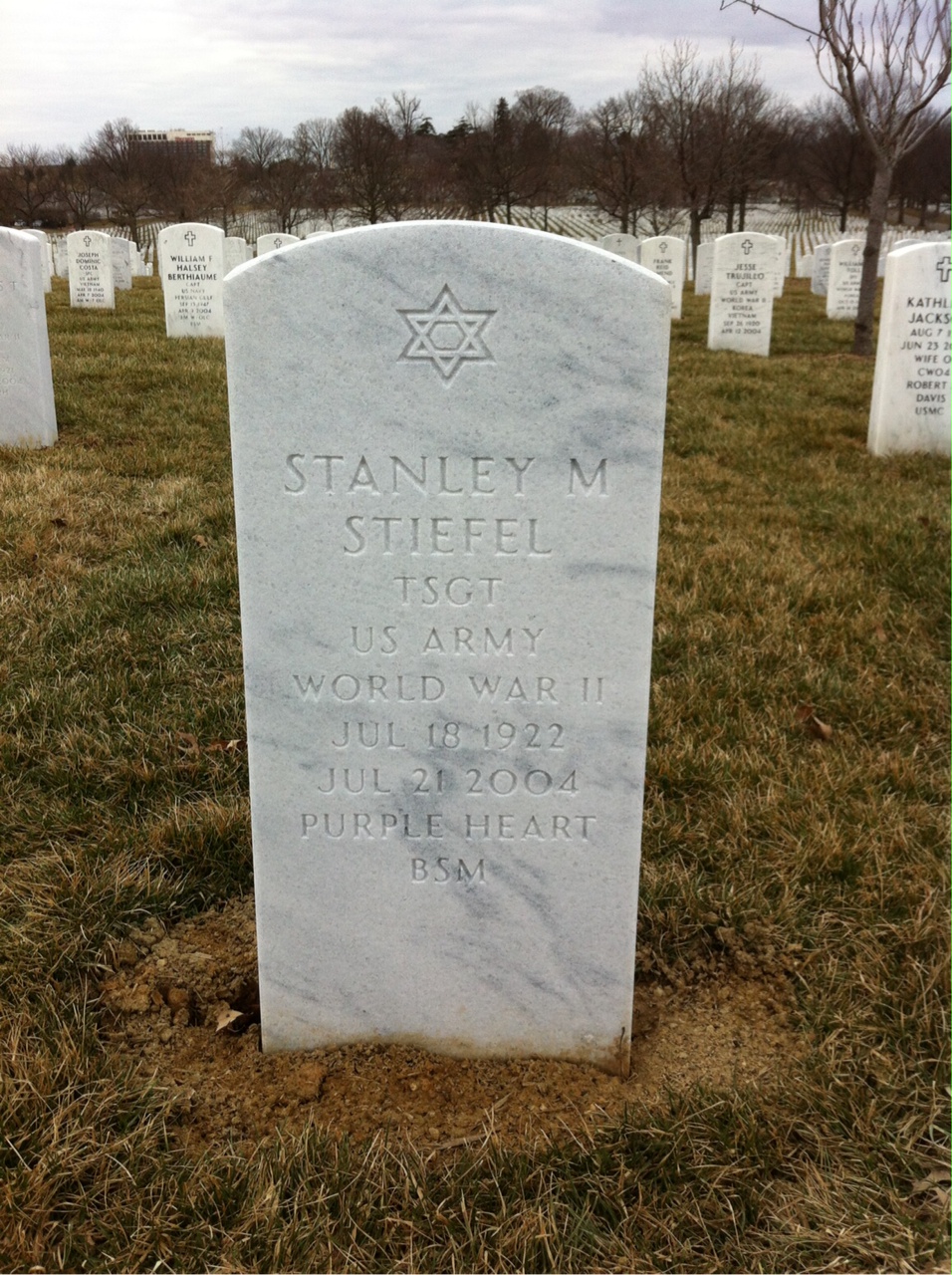 Stanley Stiefel