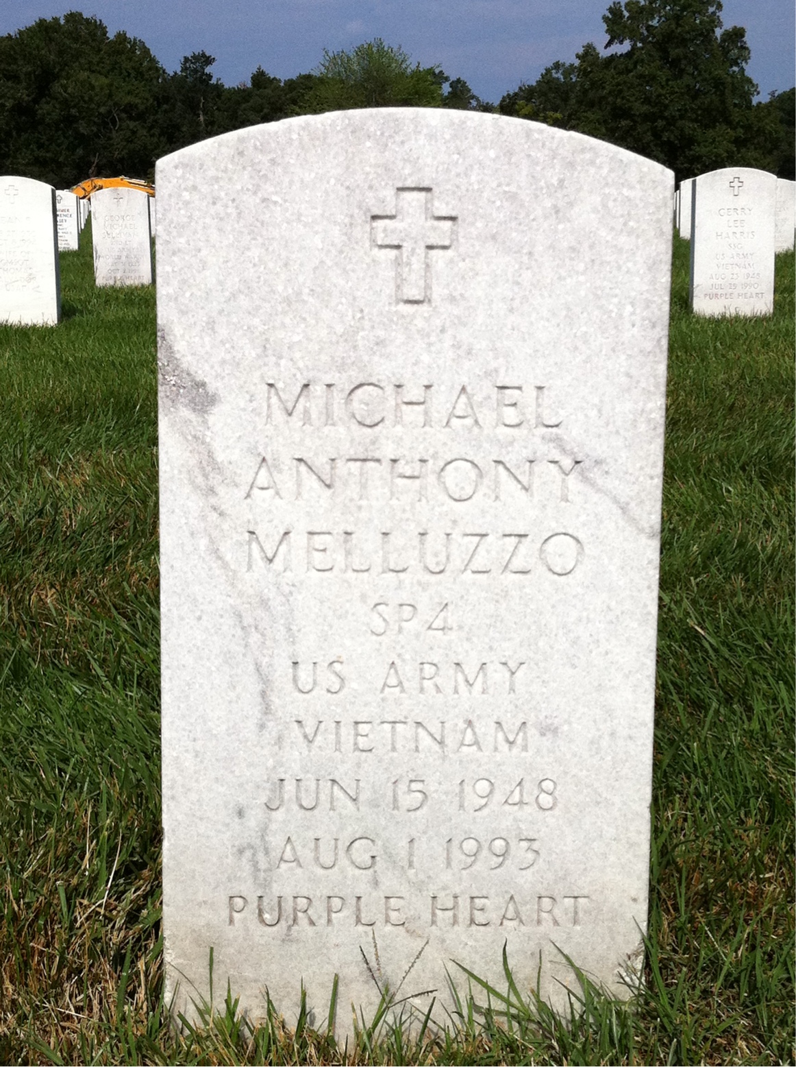Michael Melluzzo