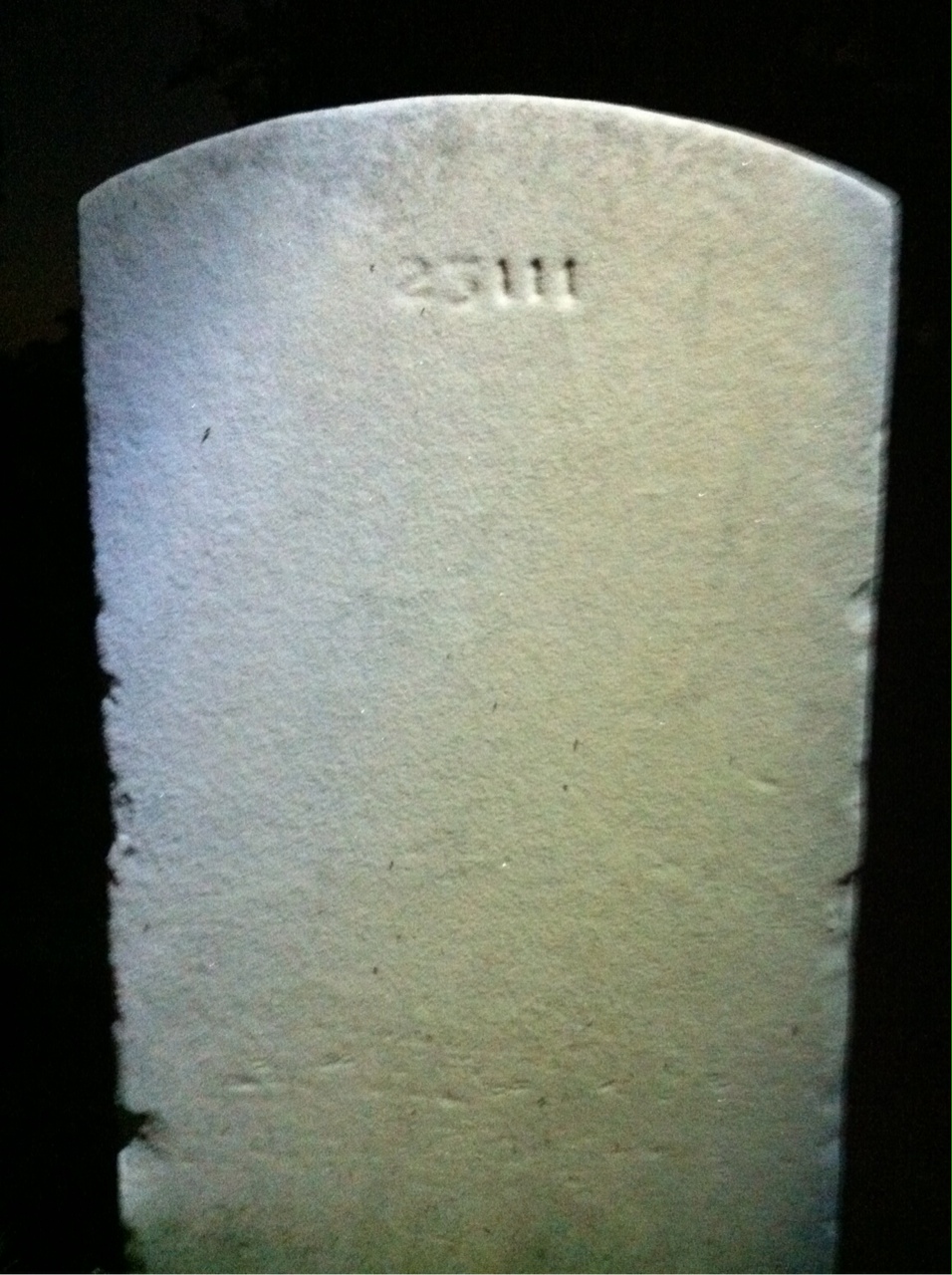 Back of headstone — Theodore Anderson