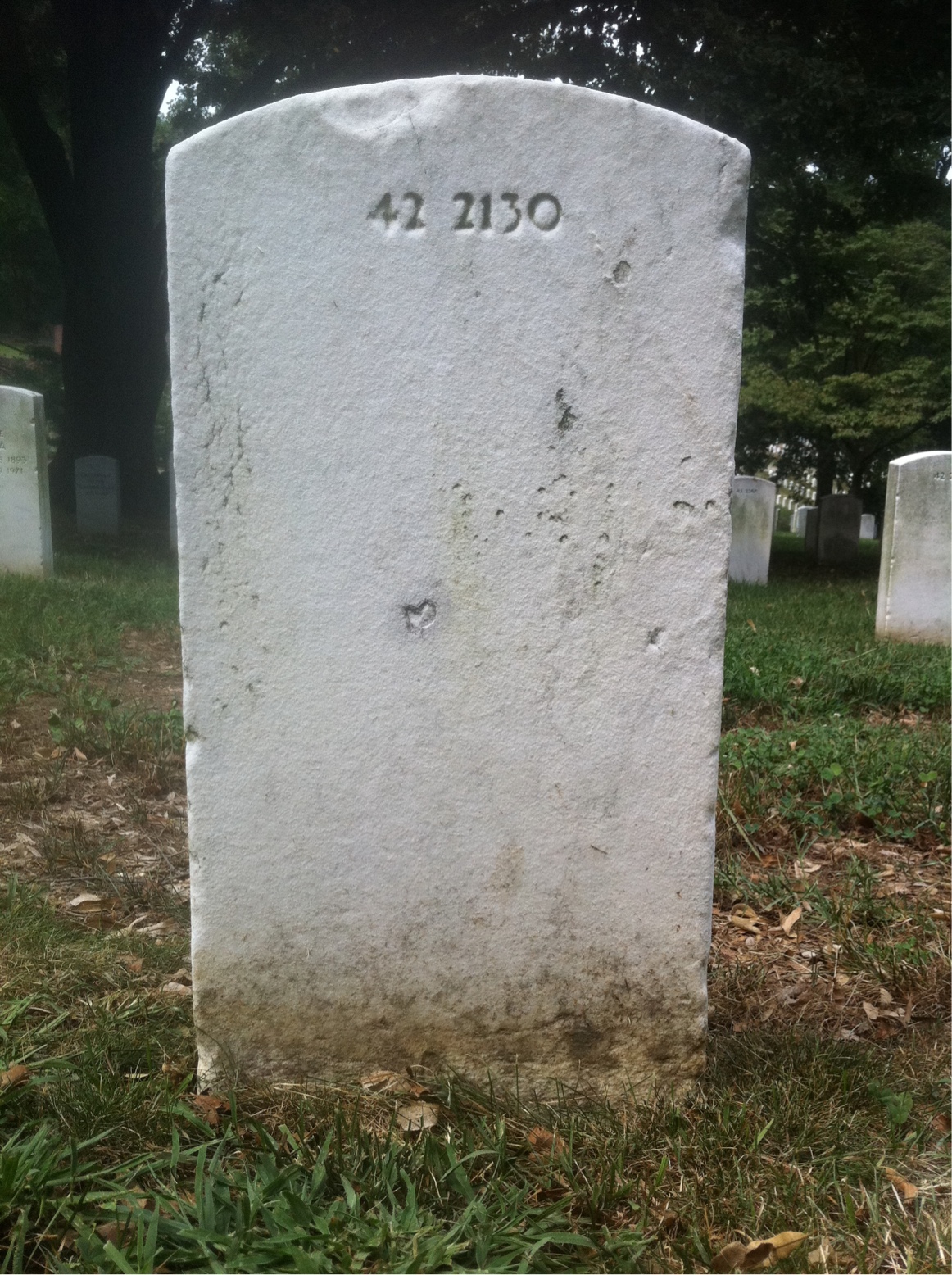Back of headstone — John Adelman