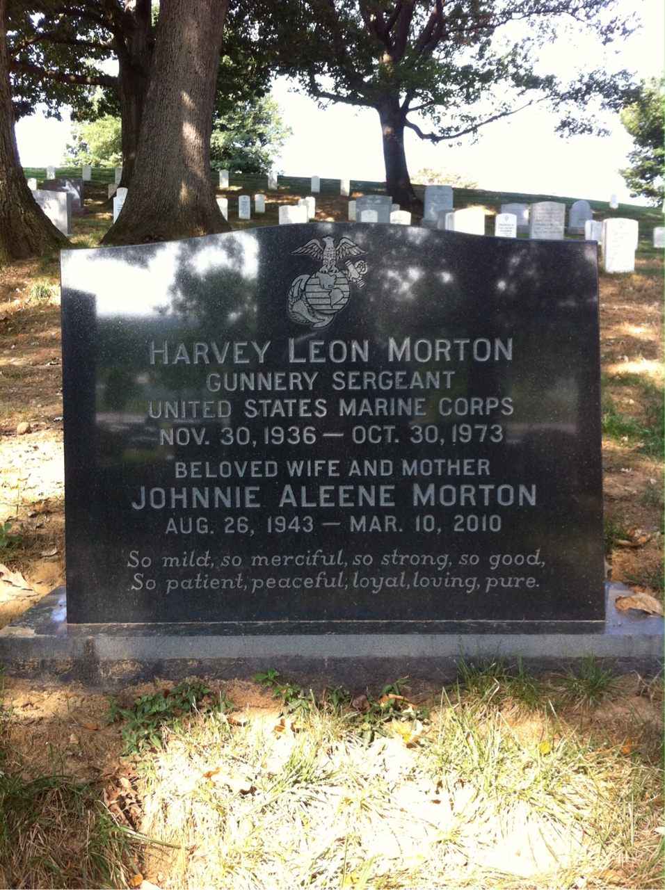 Harvey Morton