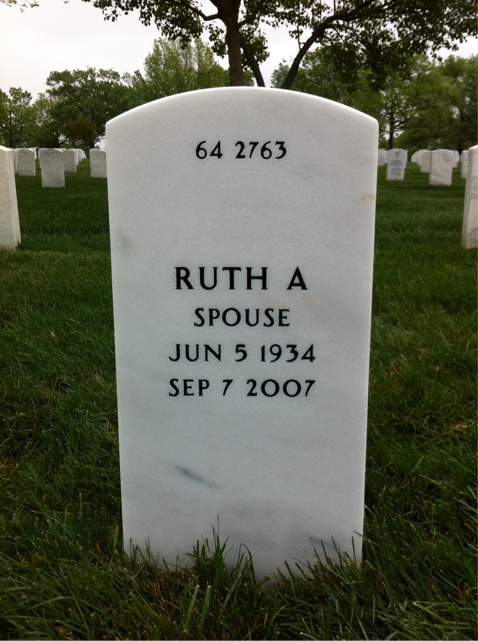 Back of headstone — Alex Johnson