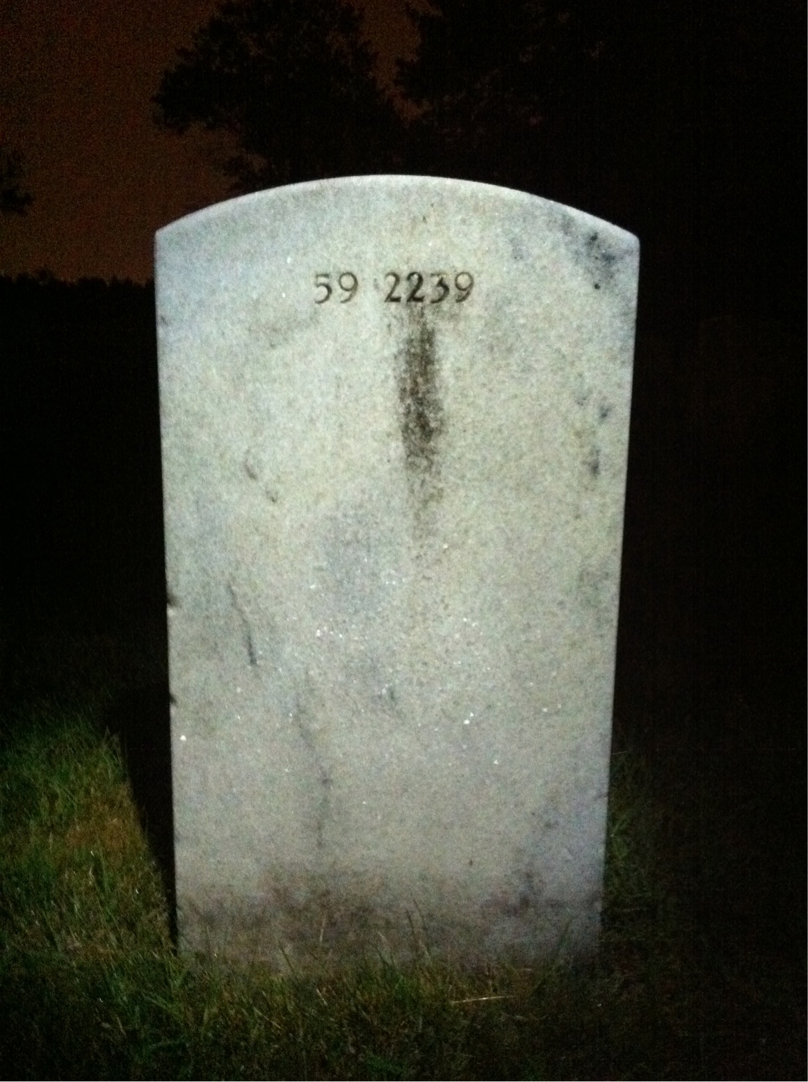Back of headstone — Wesley Brehmer