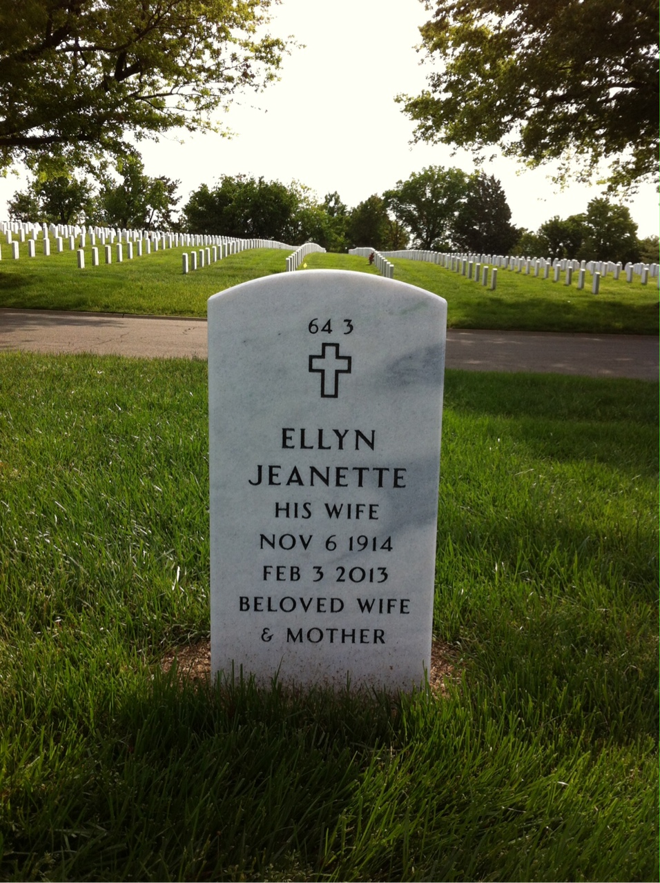 Back of headstone — Alvin Ervin