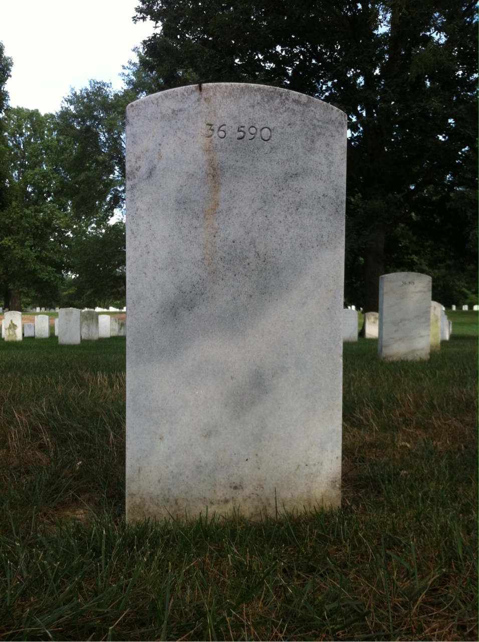 Back of headstone — Alfred Adams